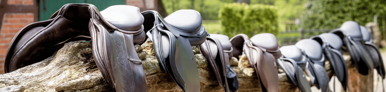 Professionelle Sattelanpassung bei Horse & Rider Luhmühlen